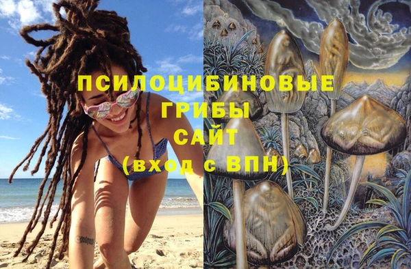 прущая мука Лиски