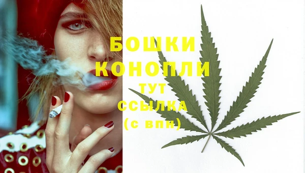 мдпв Лихославль