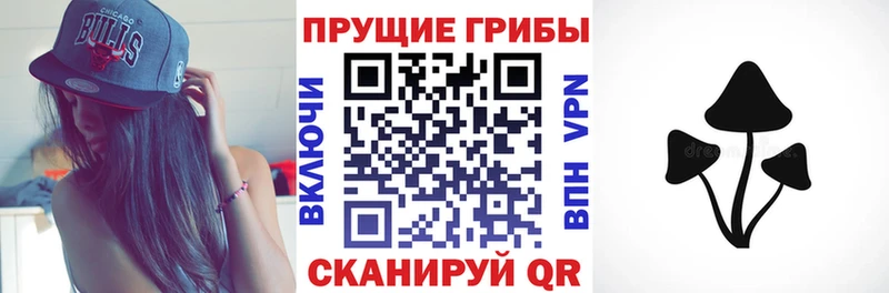 Псилоцибиновые грибы мухоморы  Купить закладки  Конаково 